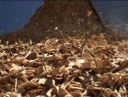 Biomasse di massa