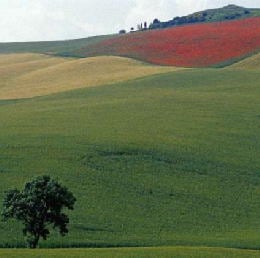 A.A.A. Patrimonio svendesi
