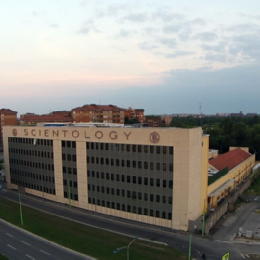 L'organizzazione
