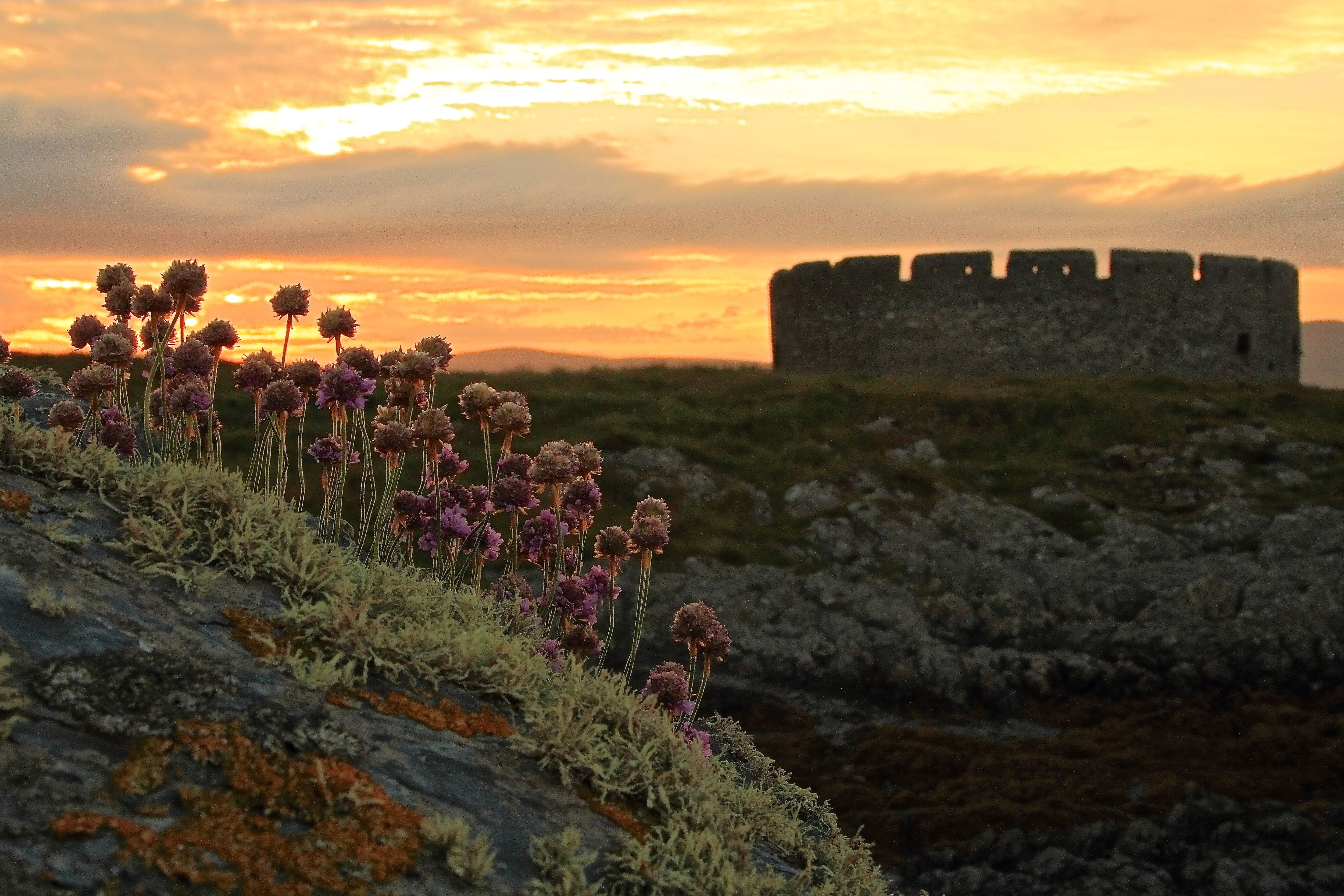 Isle of Man